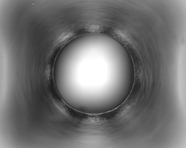 X0000086920744200704301057