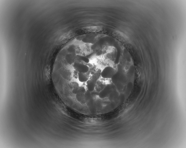 X0000086920745200704301057