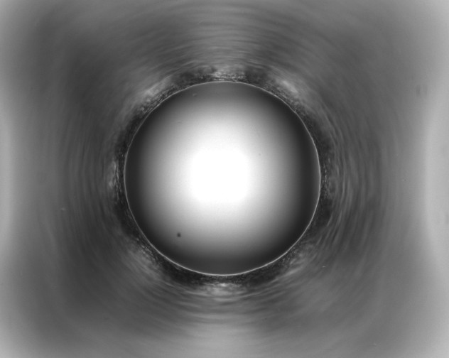 X0000086920748200704301057