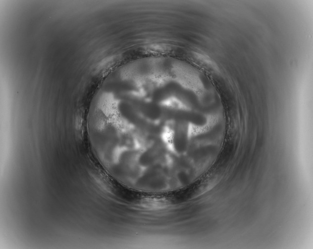 X0000086920749200704301057