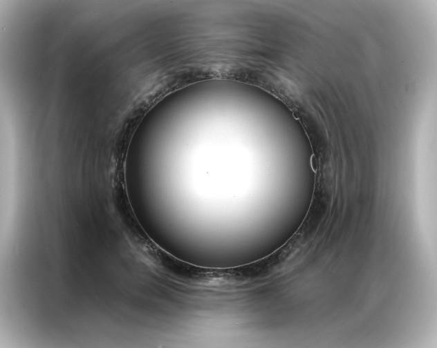 X0000086920750200704301057