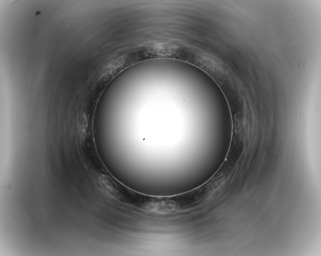 X0000086920752200704301057