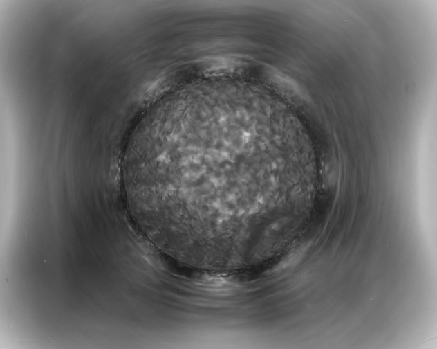 X0000086920753200704301057
