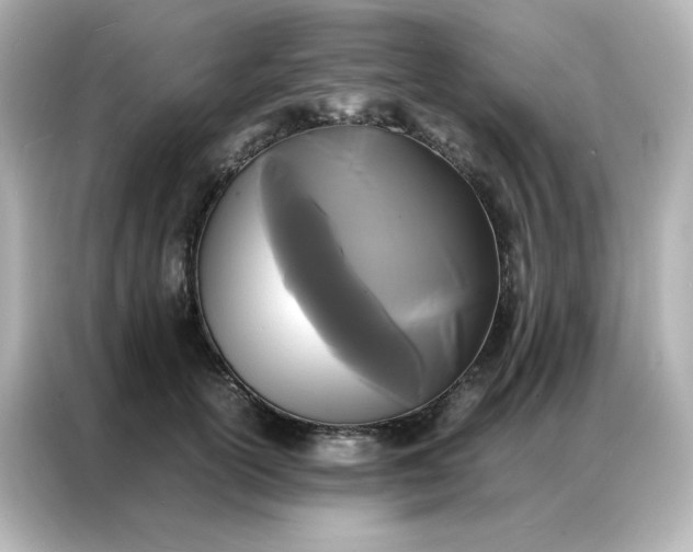 X0000086920754200704301057