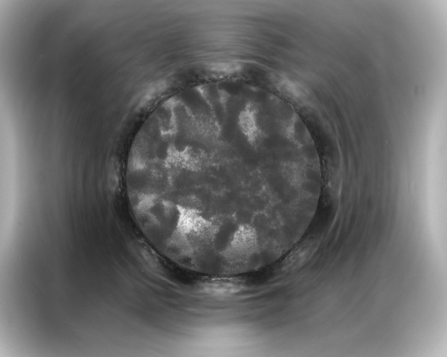 X0000086920758200704301057