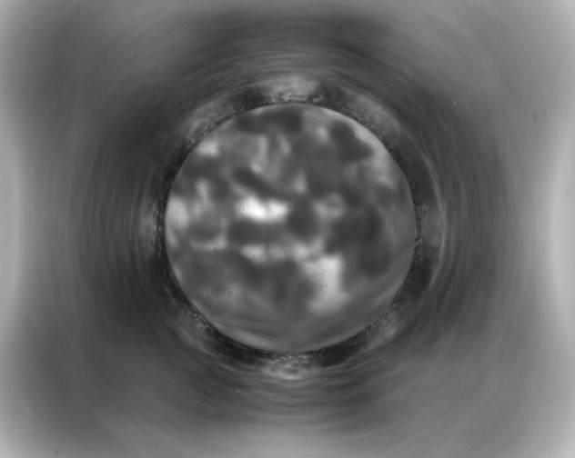 X0000086920761200704301057