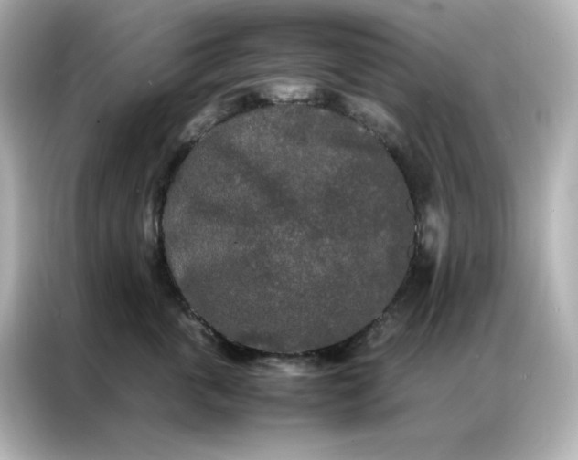 X0000086920763200704301057