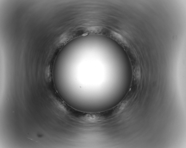 X0000086920764200704301057