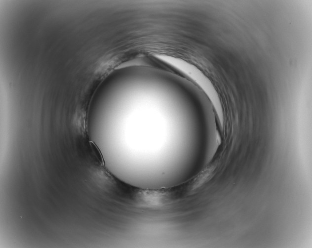 X0000086920766200704301057