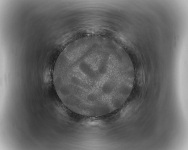 X0000086920770200704301056
