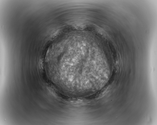 X0000086920772200704301056
