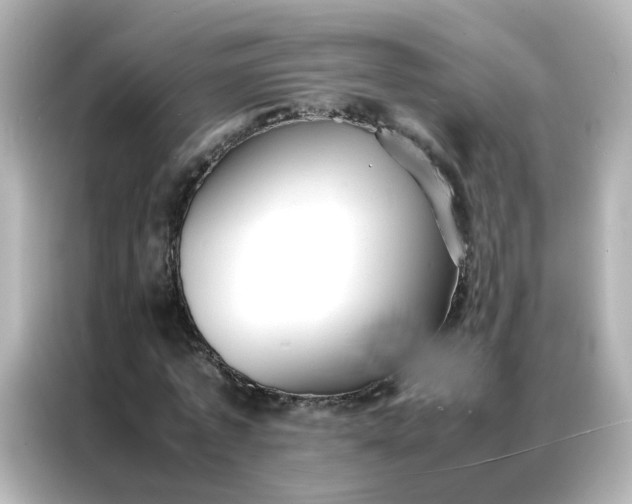X0000086920773200704301056