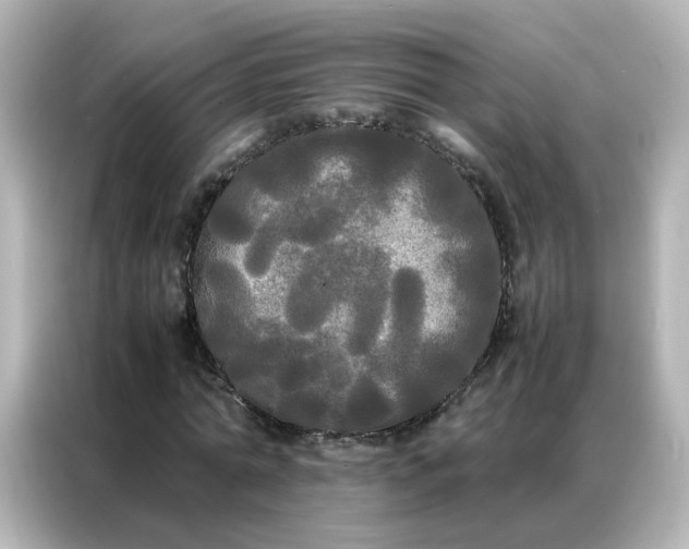 X0000086920774200704301056