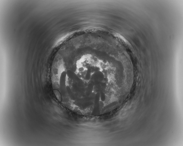 X0000086920775200704301056