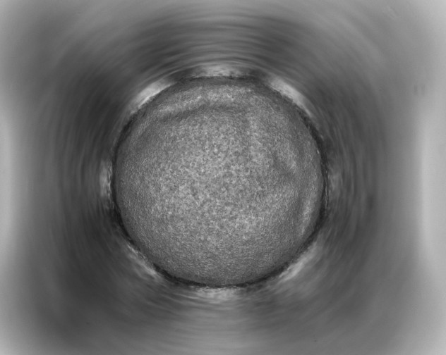 X0000086920778200704301056