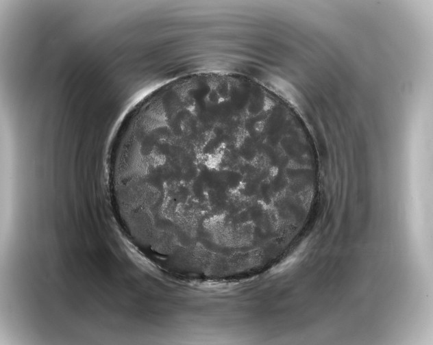 X0000086920779200704301056