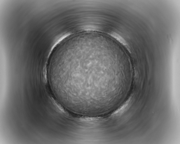 X0000086920782200704301056