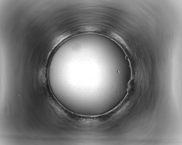 X0000086920786200704301056