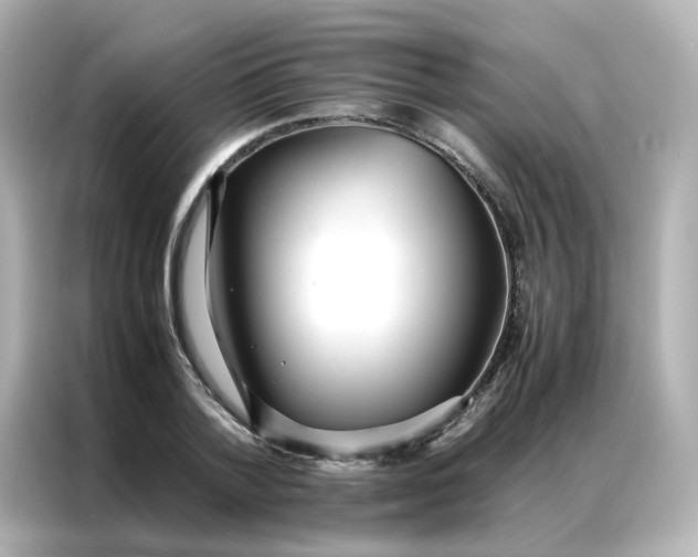 X0000086920788200704301056