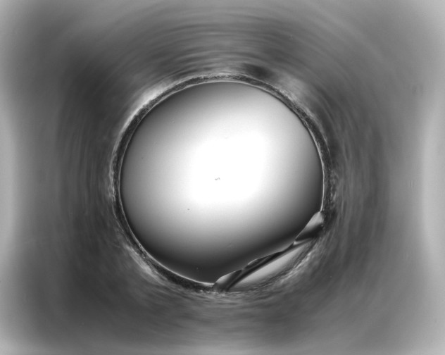 X0000086920789200704301056