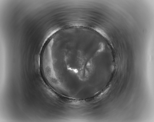X0000086920790200704301056