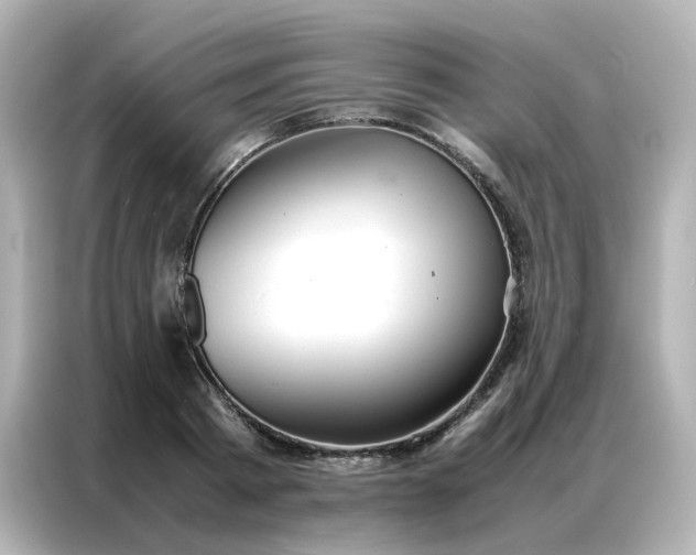 X0000086920793200704301056