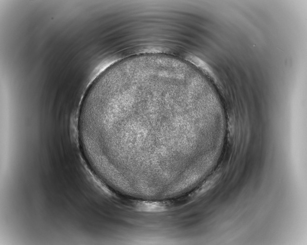 X0000086920794200704301056