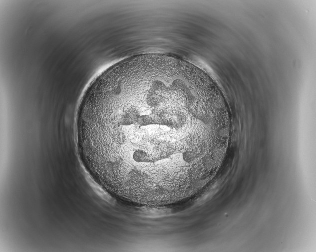 X0000086920795200704301056