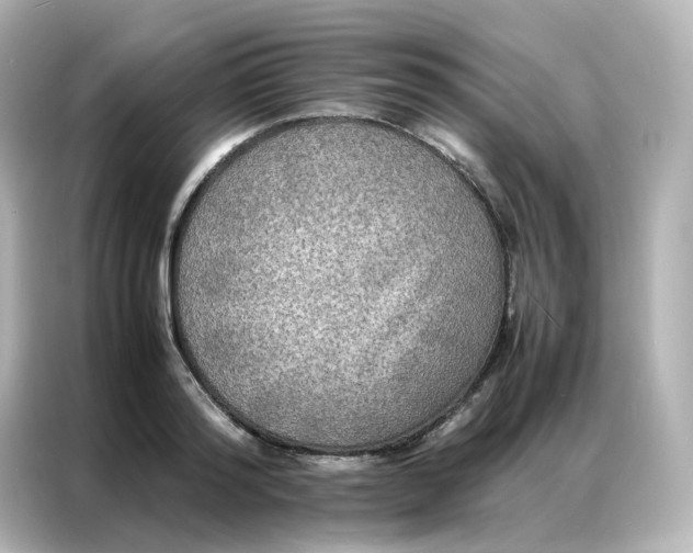 X0000086920796200704301056