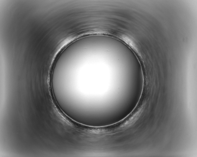 X0000086920797200704301056