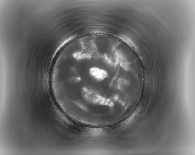 X0000086920798200704301056