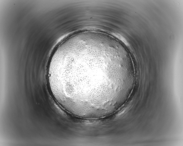 X0000086920799200704301056