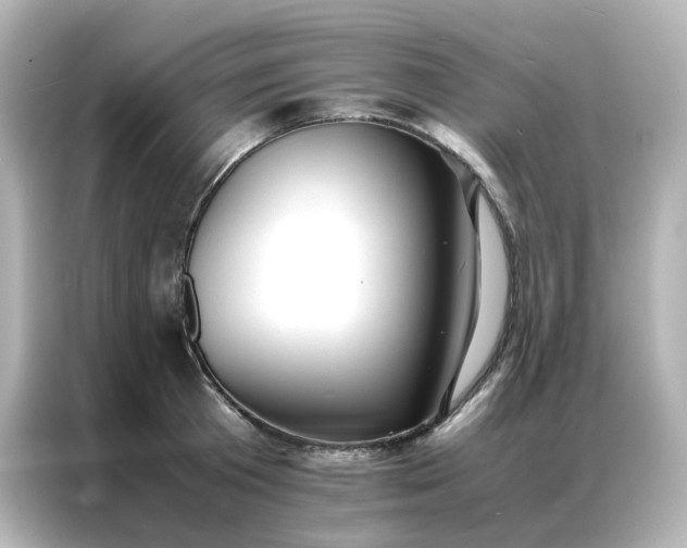 X0000086920801200704301056