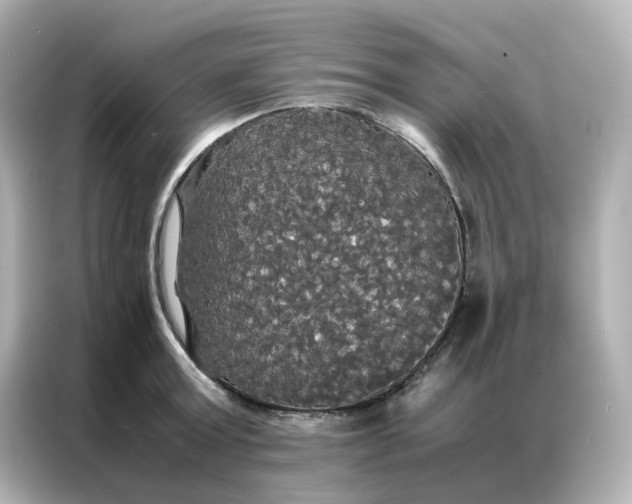 X0000086920803200704301056