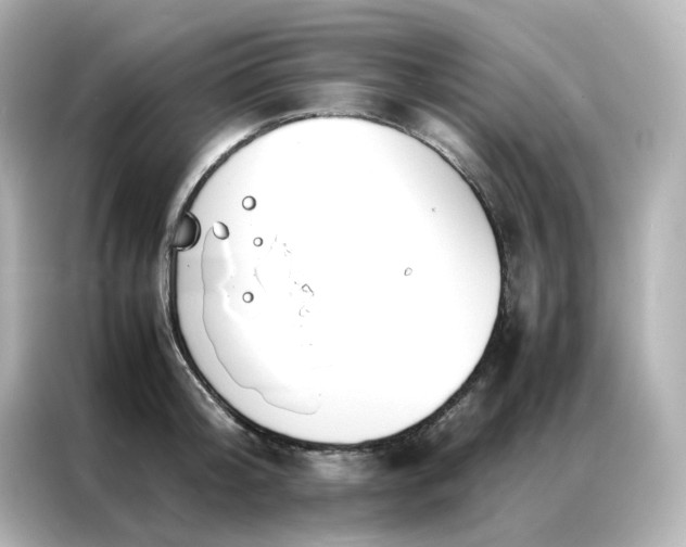 X0000086920804200704301056
