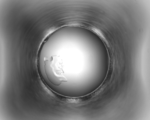 X0000086920805200704301056