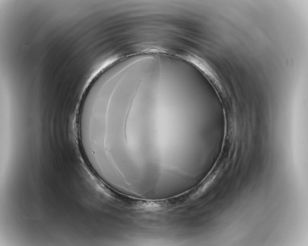 X0000086920806200704301056