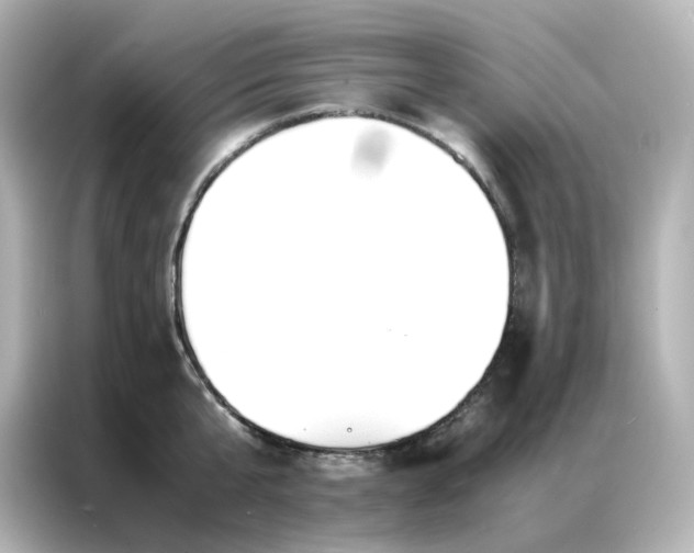 X0000086920807200704301056