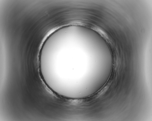X0000086920808200704301056