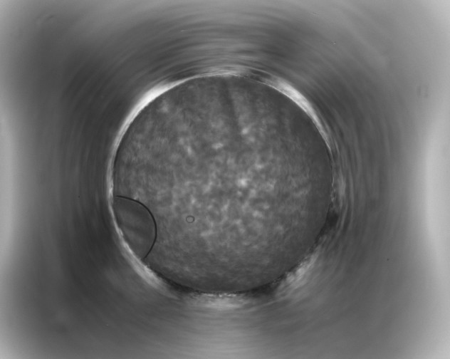 X0000086920811200704301056