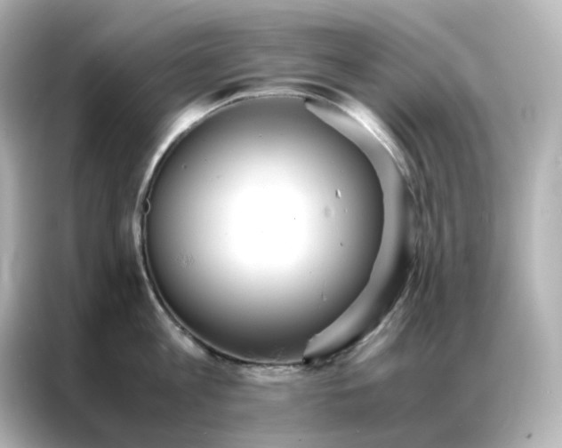 X0000086920813200704301056