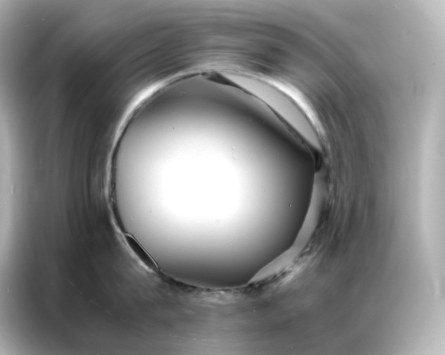 X0000086920815200704301056