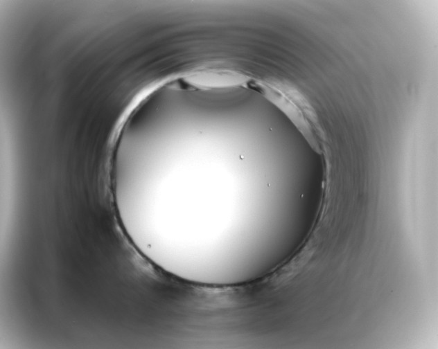 X0000086920816200704301056