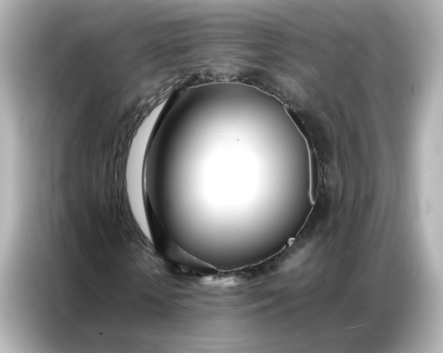X0000086920818200704301055