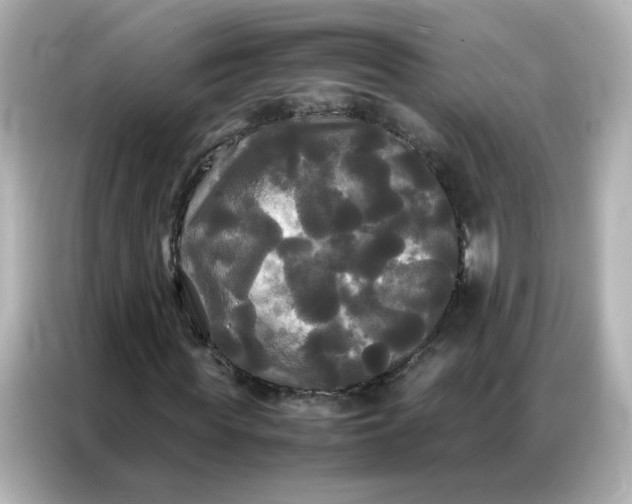 X0000086920819200704301055