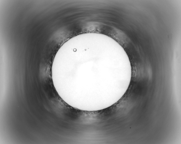 X0000086920820200704301055