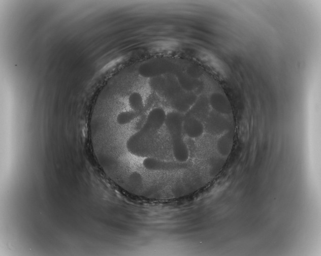 X0000086920821200704301055