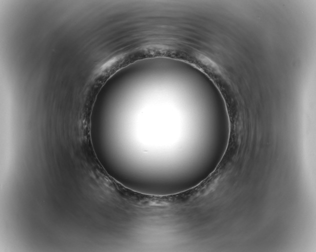 X0000086920822200704301055