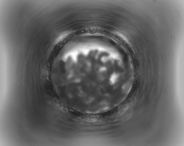 X0000086920823200704301055