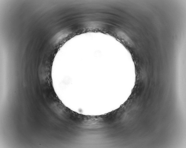 X0000086920824200704301055